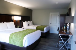 Plush Queen Beds can accommodate 4 adults