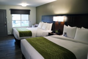 2 Queen Bedroom at Comfort Inn Antioch