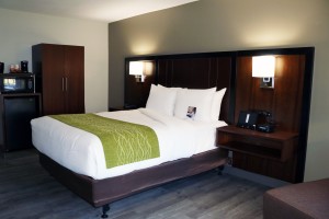 1 Queen Bedroom Accessible at Comfort Inn Antioch