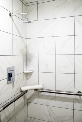 Full roll-in shower in ADA Accessible Queen Bedroom